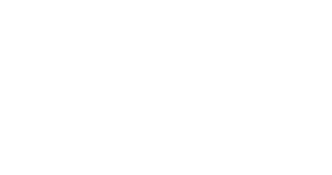 Logo Selva Real Estate Boutique
